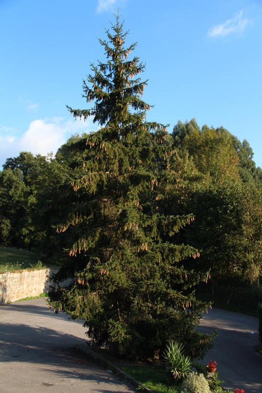 Posada Calera Valle De Villaverde Εξωτερικό φωτογραφία